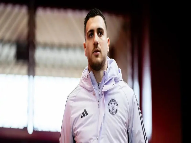 芒特：达洛特是更衣室的DJ；我去训练的路上喜欢听播客节目